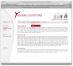 Snizek & Partner VP GmbH: Entwurf Homepage